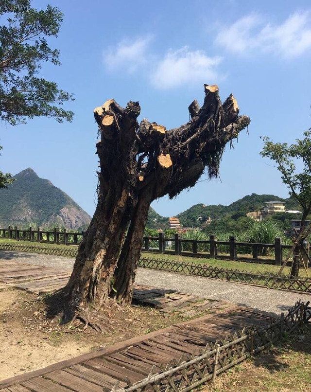 黄金台博物馆