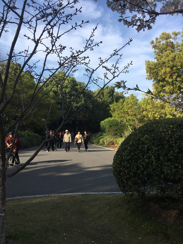 曲阳孟良河公园