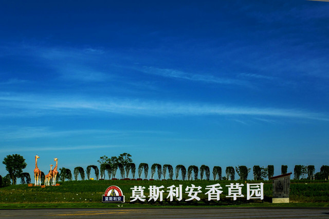 莫斯利安香草园