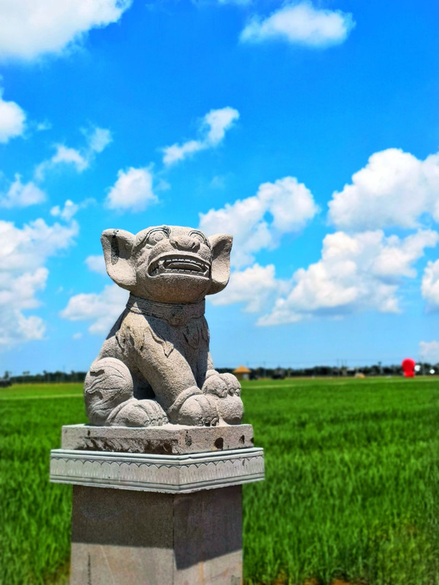 稻海桑田公园