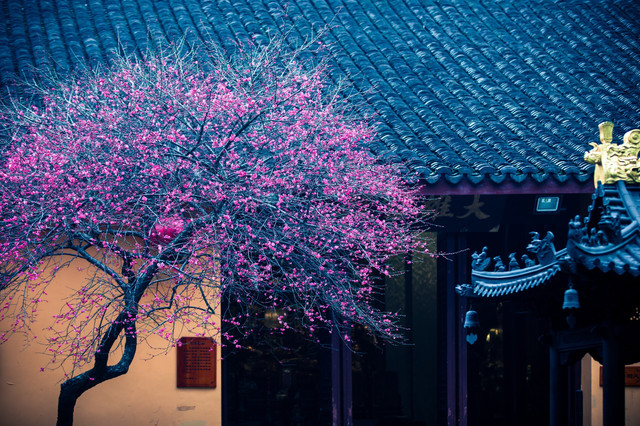 东境古寺