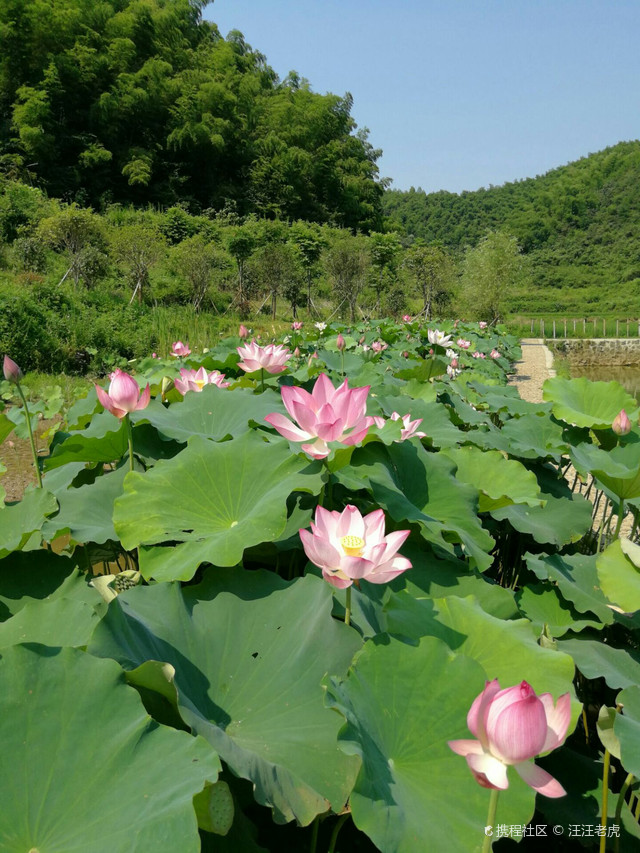 黄公略故居