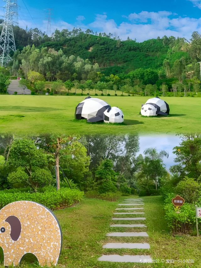 五指耙森林公园(光明片区)
