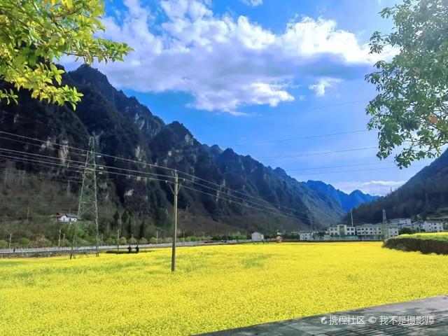 宋洛乡