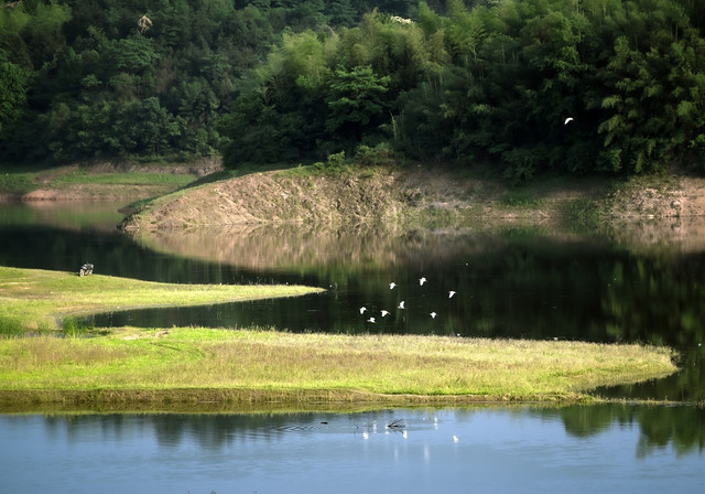 上石坝水库
