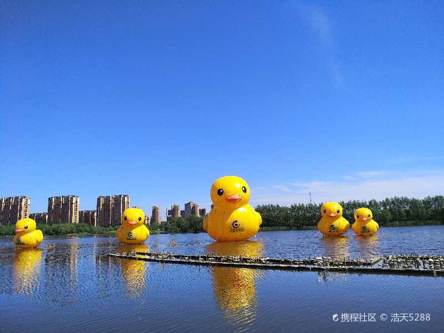 昌图新区