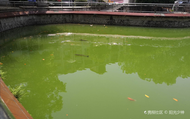 湖北潜江市人民政府园林街道办事处