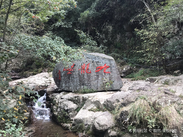 白茶谷