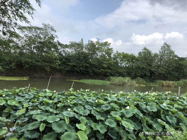 永丰镇