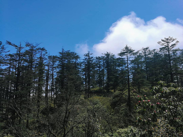 瓦屋山