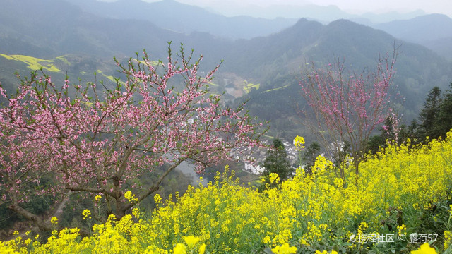 霞坑镇