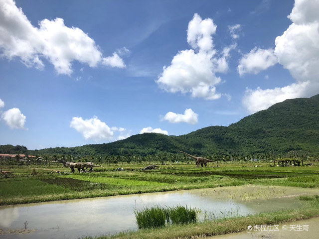 袁隆平水稻种植基地
