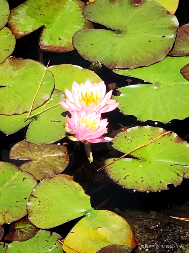 市民广场