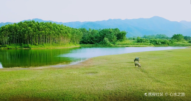 广东千岛湖