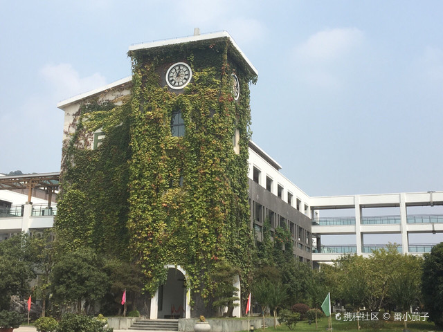 浙江省杭州第七中学(解放路校区)