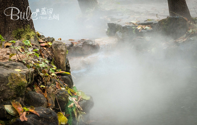 神泉村