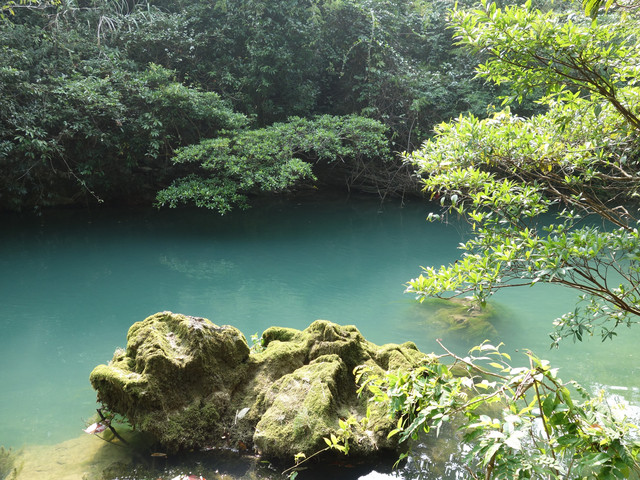 荔波茂兰青龙潭