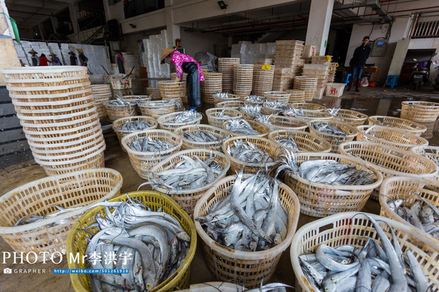 北部湾国际海产品市场