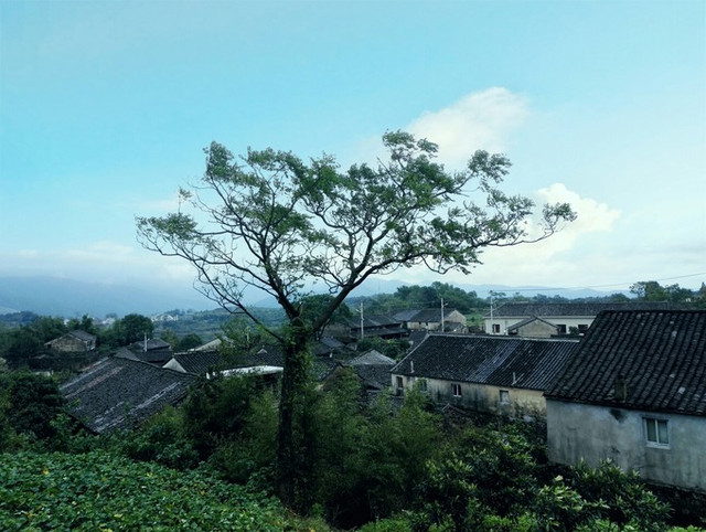 茶院乡