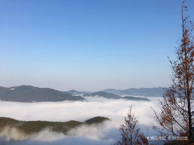 大娃古着杂货(狮虎桥路店)