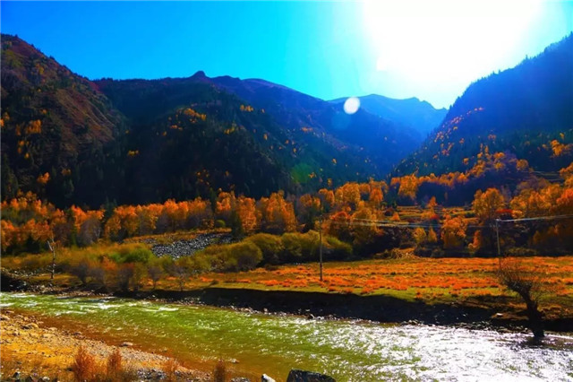 麦秀森林公园