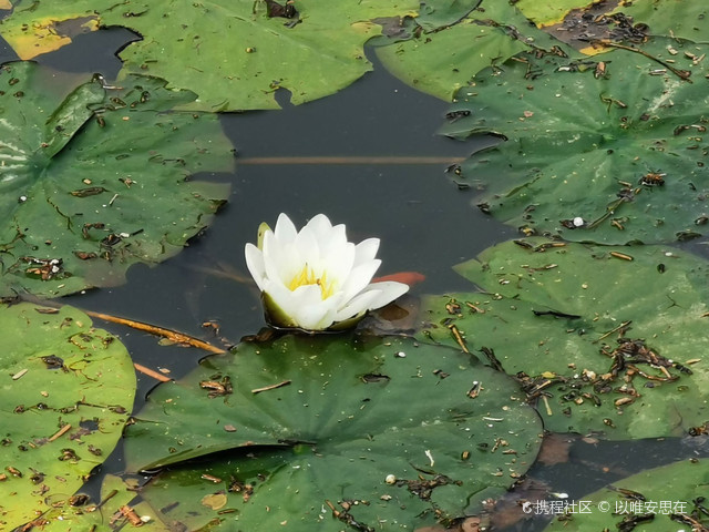 滴水洞自然保护区