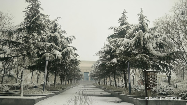 东山森林公园