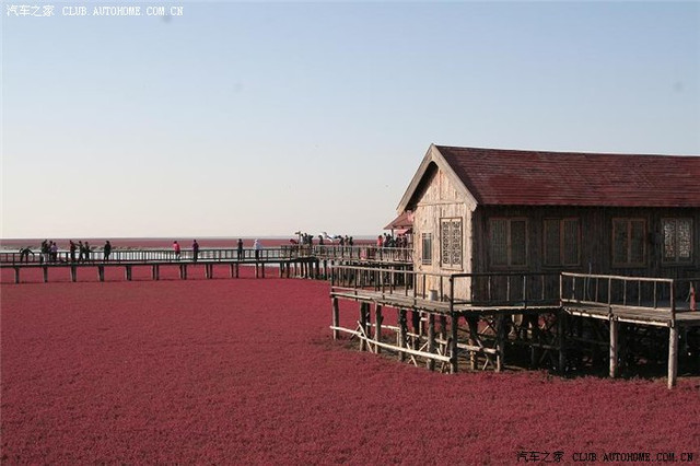 中共盘锦市委党校