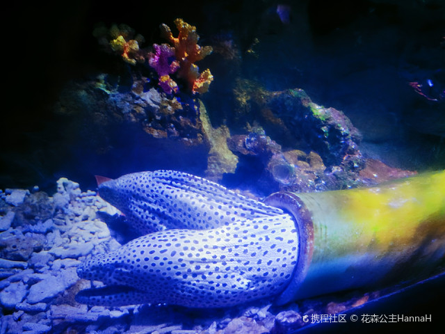 龙都海洋馆