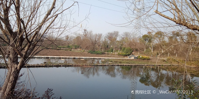 文体公园