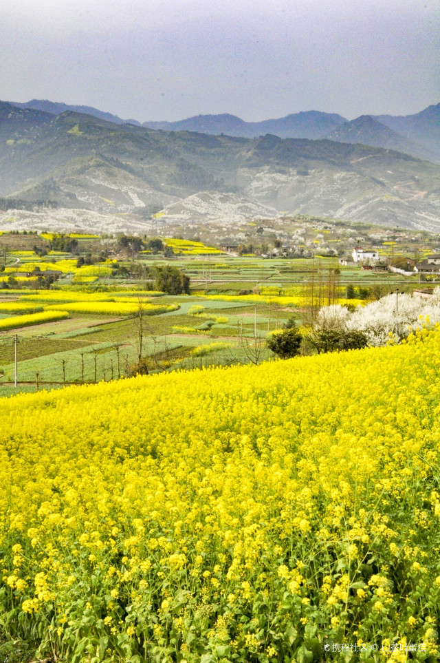 葛仙山镇