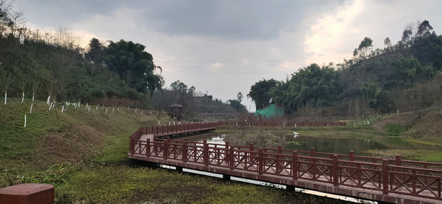 绿心公园芦山湿地