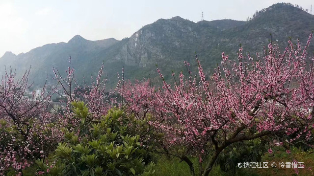 兴义桃花谷