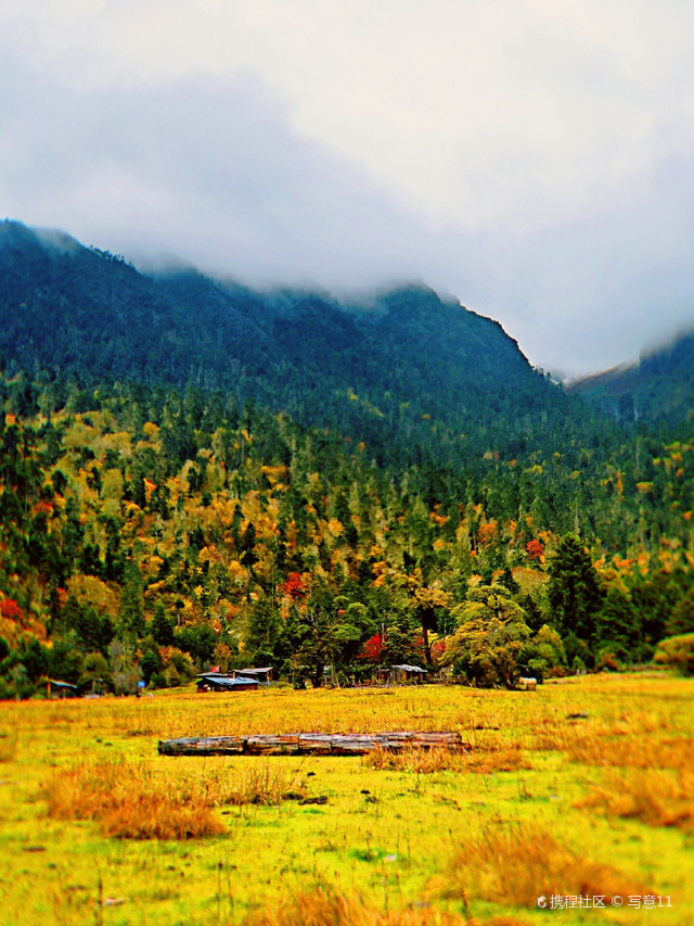 高山牧场