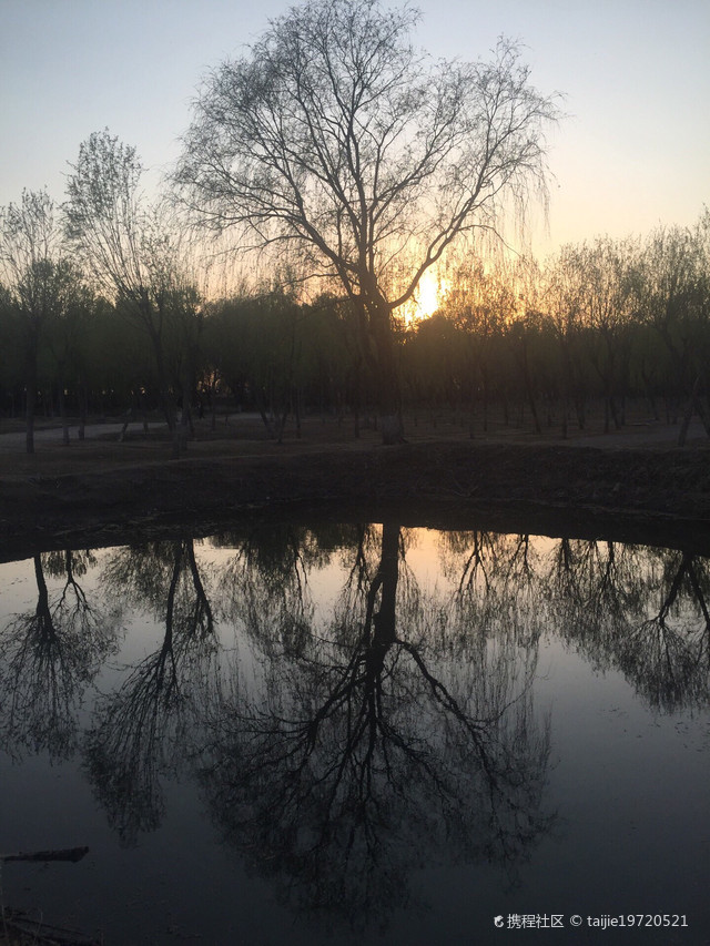 苏庄村