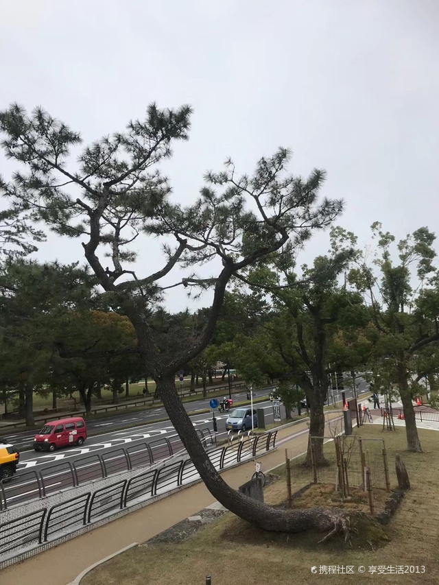 奈良