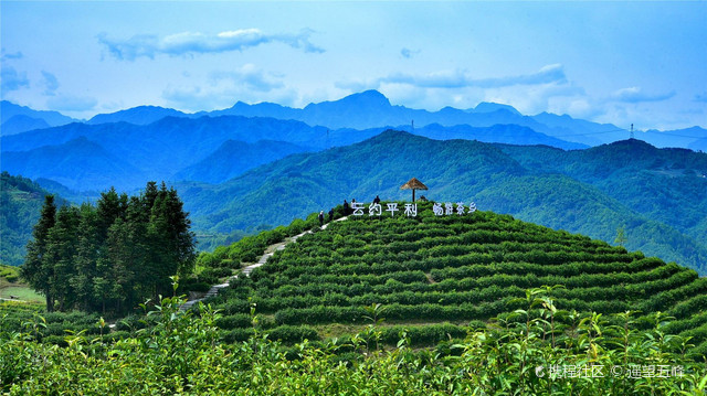 蒋家坪村