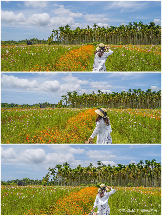 龙寿洋万亩田野公园