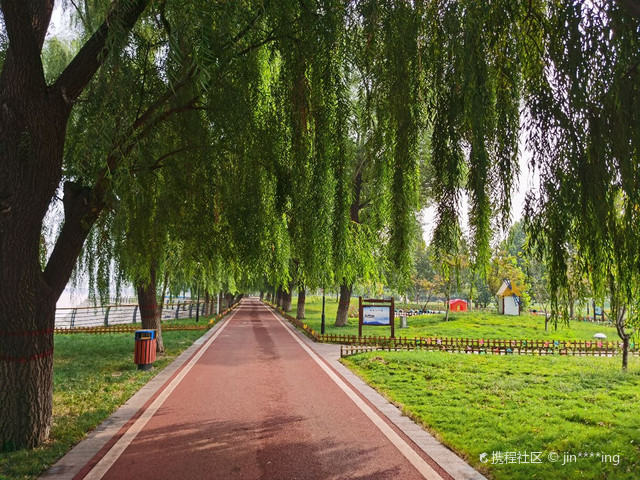 黄河安澜湾景区