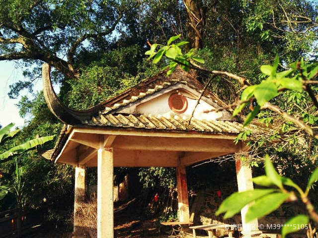 藤县东山公园