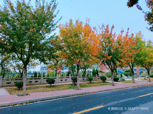 山东英才学院