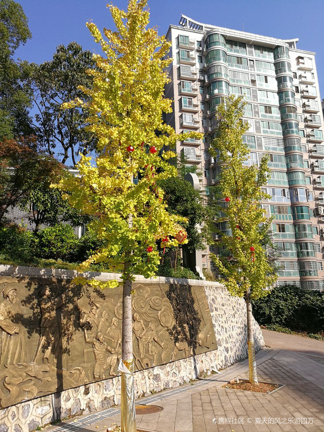 狮子岭公园