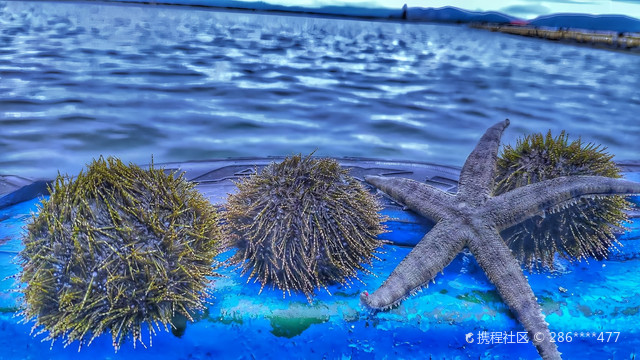 南湾村