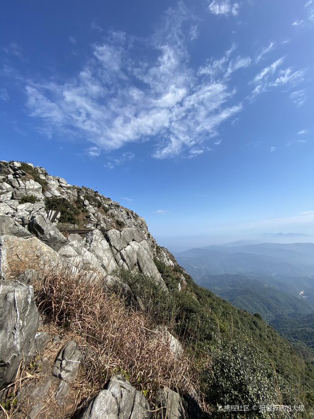 大罗山茶场