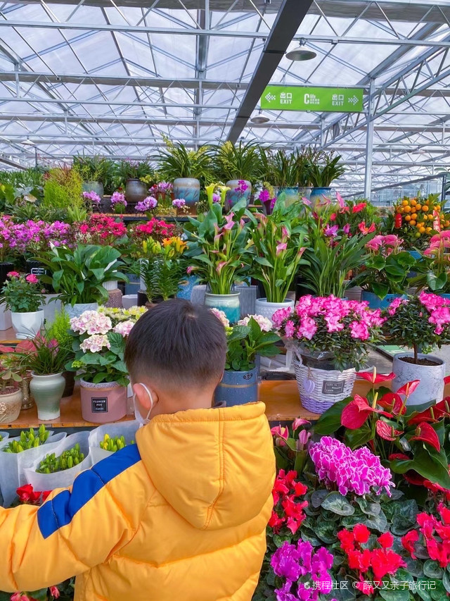 昆明花园