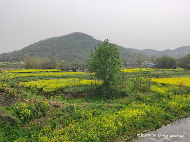 小葛碉堡