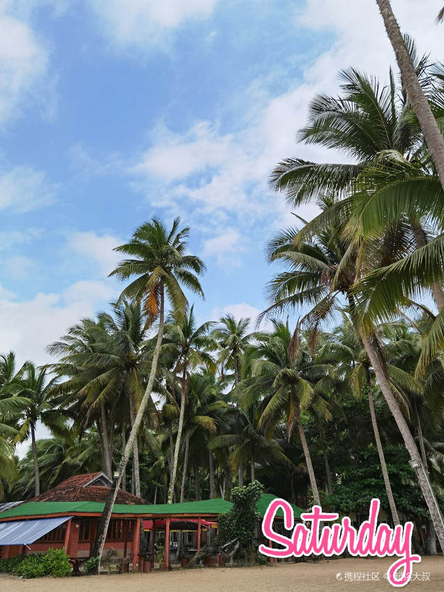 椰林湾