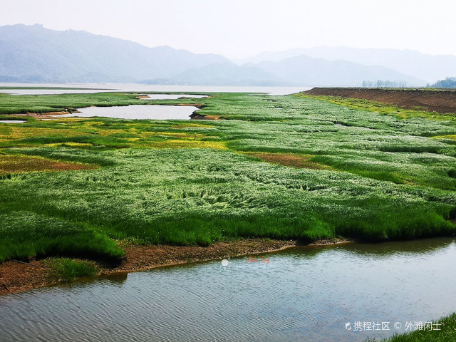 菜龙湖国家湿地公园