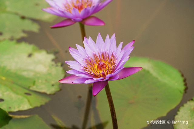 苍海国家湿地公园