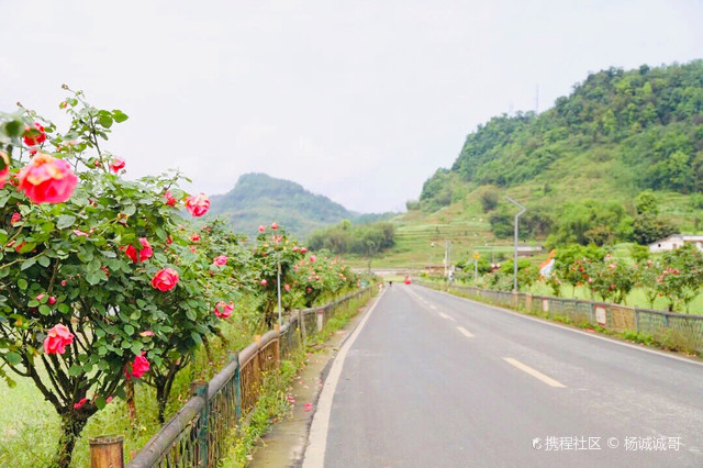 水泸坝现代农业公园